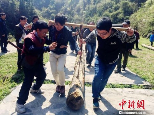 資料圖：游客體驗抬盤木艱難前行。　劉著之攝