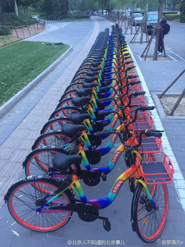 圖為彩虹單車。